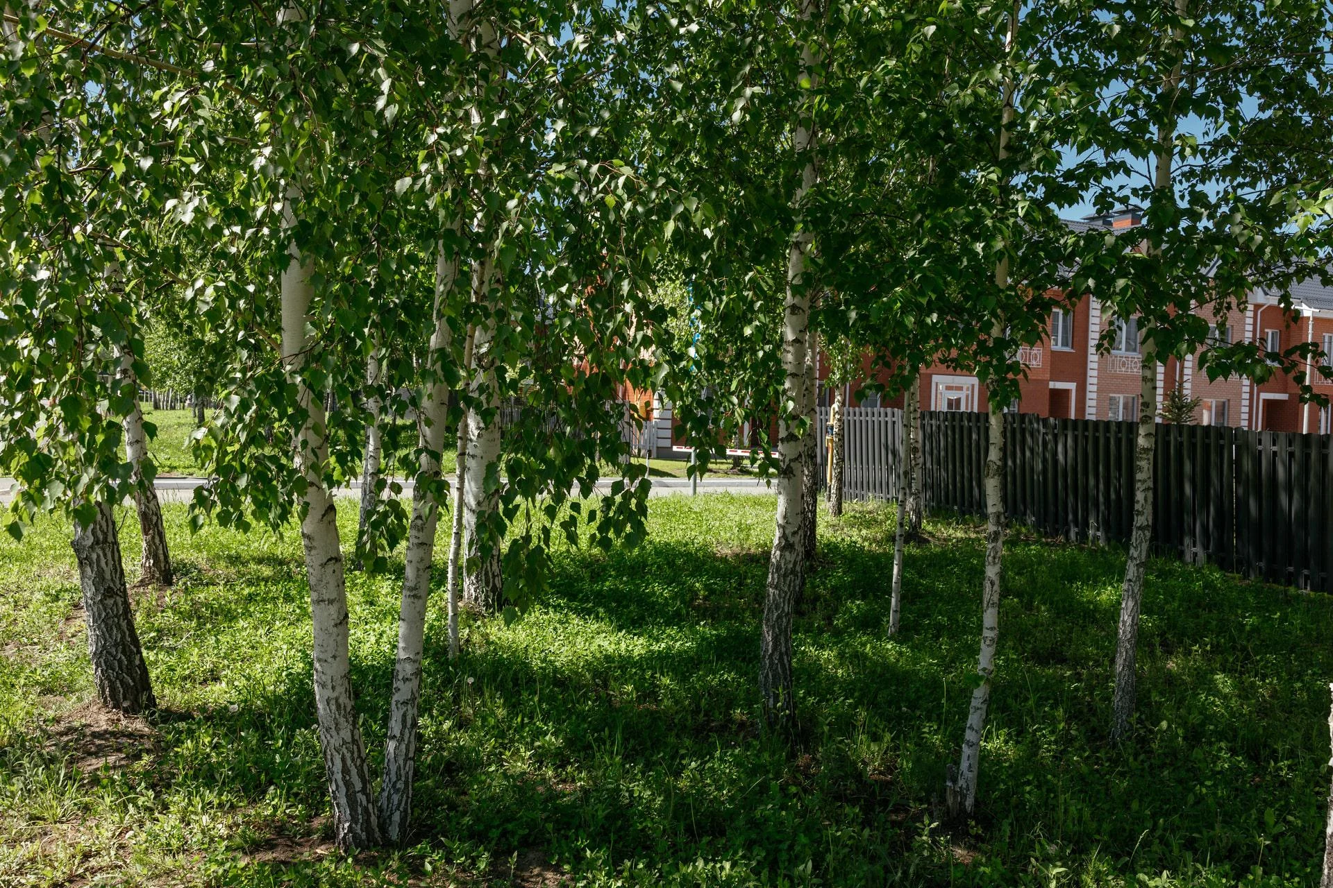 Навигатор. Девелопмент