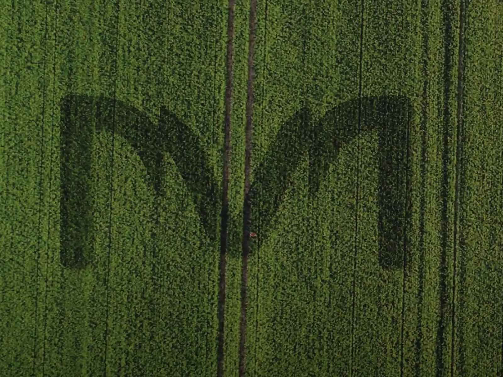 Никольский